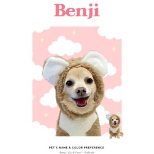 Whimsical and Vibrant