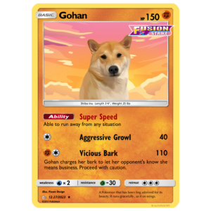Pet Pokemon Card